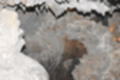 Beeldnr : 79 van 186
Naam : ji7b0327.jpg
Folder : fotos/jaren-201x/2018-2/lanzarote/11-juli/
Formaat : 1200 x 800px
Thumb : 120 x 80px
Richting : Landschap
Bloknr : 2 van 4
Beeldnrs : 51 tm 100
Beelden in blok : 50