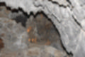 Beeldnr : 80 van 186
Naam : ji7b0328.jpg
Folder : fotos/jaren-201x/2018-2/lanzarote/11-juli/
Formaat : 1200 x 800px
Thumb : 120 x 80px
Richting : Landschap
Bloknr : 2 van 4
Beeldnrs : 51 tm 100
Beelden in blok : 50