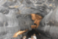 Beeldnr : 85 van 186
Naam : ji7b0335.jpg
Folder : fotos/jaren-201x/2018-2/lanzarote/11-juli/
Formaat : 1200 x 800px
Thumb : 120 x 80px
Richting : Landschap
Bloknr : 2 van 4
Beeldnrs : 51 tm 100
Beelden in blok : 50