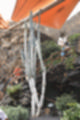 Beeldnr : 96 van 186
Naam : ji7b0354.jpg
Folder : fotos/jaren-201x/2018-2/lanzarote/11-juli/
Formaat : 800 x 1200px
Thumb : 80 x 120px
Richting : Portret
Bloknr : 2 van 4
Beeldnrs : 51 tm 100
Beelden in blok : 50