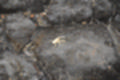 Beeldnr : 101 van 186
Naam : ji7b0366.jpg
Folder : fotos/jaren-201x/2018-2/lanzarote/11-juli/
Formaat : 1200 x 800px
Thumb : 120 x 80px
Richting : Landschap
Bloknr : 3 van 4
Beeldnrs : 101 tm 150
Beelden in blok : 50