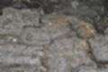 Beeldnr : 102 van 186
Naam : ji7b0369.jpg
Folder : fotos/jaren-201x/2018-2/lanzarote/11-juli/
Formaat : 1200 x 800px
Thumb : 120 x 80px
Richting : Landschap
Bloknr : 3 van 4
Beeldnrs : 101 tm 150
Beelden in blok : 50