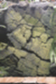 Beeldnr : 103 van 186
Naam : ji7b0373.jpg
Folder : fotos/jaren-201x/2018-2/lanzarote/11-juli/
Formaat : 800 x 1200px
Thumb : 80 x 120px
Richting : Portret
Bloknr : 3 van 4
Beeldnrs : 101 tm 150
Beelden in blok : 50