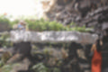 Beeldnr : 104 van 186
Naam : ji7b0375.jpg
Folder : fotos/jaren-201x/2018-2/lanzarote/11-juli/
Formaat : 1200 x 800px
Thumb : 120 x 80px
Richting : Landschap
Bloknr : 3 van 4
Beeldnrs : 101 tm 150
Beelden in blok : 50