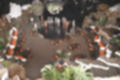 Beeldnr : 105 van 186
Naam : ji7b0376.jpg
Folder : fotos/jaren-201x/2018-2/lanzarote/11-juli/
Formaat : 1200 x 800px
Thumb : 120 x 80px
Richting : Landschap
Bloknr : 3 van 4
Beeldnrs : 101 tm 150
Beelden in blok : 50