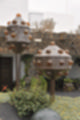 Beeldnr : 121 van 186
Naam : ji7b0406.jpg
Folder : fotos/jaren-201x/2018-2/lanzarote/11-juli/
Formaat : 800 x 1200px
Thumb : 80 x 120px
Richting : Portret
Bloknr : 3 van 4
Beeldnrs : 101 tm 150
Beelden in blok : 50