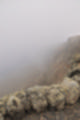 Beeldnr : 138 van 186
Naam : ji7b0443.jpg
Folder : fotos/jaren-201x/2018-2/lanzarote/11-juli/
Formaat : 800 x 1200px
Thumb : 80 x 120px
Richting : Portret
Bloknr : 3 van 4
Beeldnrs : 101 tm 150
Beelden in blok : 50