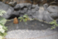 Beeldnr : 168 van 186
Naam : ji7b0489.jpg
Folder : fotos/jaren-201x/2018-2/lanzarote/11-juli/
Formaat : 1200 x 800px
Thumb : 120 x 80px
Richting : Landschap
Bloknr : 4 van 4
Beeldnrs : 151 tm 186
Beelden in blok : 36