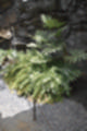 Beeldnr : 169 van 186
Naam : ji7b0490.jpg
Folder : fotos/jaren-201x/2018-2/lanzarote/11-juli/
Formaat : 800 x 1200px
Thumb : 80 x 120px
Richting : Portret
Bloknr : 4 van 4
Beeldnrs : 151 tm 186
Beelden in blok : 36