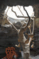 Beeldnr : 173 van 186
Naam : ji7b0495.jpg
Folder : fotos/jaren-201x/2018-2/lanzarote/11-juli/
Formaat : 800 x 1200px
Thumb : 80 x 120px
Richting : Portret
Bloknr : 4 van 4
Beeldnrs : 151 tm 186
Beelden in blok : 36