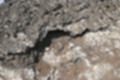 Beeldnr : 61 van 114
Naam : ji7c0551.jpg
Folder : fotos/jaren-201x/2018-2/lanzarote/12-juli/
Formaat : 1200 x 800px
Thumb : 120 x 80px
Richting : Landschap
Bloknr : 2 van 3
Beeldnrs : 51 tm 100
Beelden in blok : 50