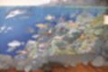 Beeldnr : 63 van 114
Naam : ji7c0554.jpg
Folder : fotos/jaren-201x/2018-2/lanzarote/12-juli/
Formaat : 1200 x 800px
Thumb : 120 x 80px
Richting : Landschap
Bloknr : 2 van 3
Beeldnrs : 51 tm 100
Beelden in blok : 50