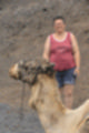 Beeldnr : 83 van 114
Naam : ji7c0582.jpg
Folder : fotos/jaren-201x/2018-2/lanzarote/12-juli/
Formaat : 800 x 1200px
Thumb : 80 x 120px
Richting : Portret
Bloknr : 2 van 3
Beeldnrs : 51 tm 100
Beelden in blok : 50
