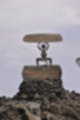 Beeldnr : 87 van 114
Naam : ji7c0598.jpg
Folder : fotos/jaren-201x/2018-2/lanzarote/12-juli/
Formaat : 800 x 1200px
Thumb : 80 x 120px
Richting : Portret
Bloknr : 2 van 3
Beeldnrs : 51 tm 100
Beelden in blok : 50