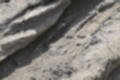 Beeldnr : 93 van 114
Naam : ji7c0609_2.jpg
Folder : fotos/jaren-201x/2018-2/lanzarote/12-juli/
Formaat : 1200 x 800px
Thumb : 120 x 80px
Richting : Landschap
Bloknr : 2 van 3
Beeldnrs : 51 tm 100
Beelden in blok : 50