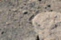 Beeldnr : 95 van 114
Naam : ji7c0613_3.jpg
Folder : fotos/jaren-201x/2018-2/lanzarote/12-juli/
Formaat : 1200 x 800px
Thumb : 120 x 80px
Richting : Landschap
Bloknr : 2 van 3
Beeldnrs : 51 tm 100
Beelden in blok : 50