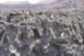 Beeldnr : 98 van 114
Naam : ji7c0619.jpg
Folder : fotos/jaren-201x/2018-2/lanzarote/12-juli/
Formaat : 1200 x 800px
Thumb : 120 x 80px
Richting : Landschap
Bloknr : 2 van 3
Beeldnrs : 51 tm 100
Beelden in blok : 50