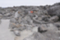 Beeldnr : 100 van 114
Naam : ji7c0621.jpg
Folder : fotos/jaren-201x/2018-2/lanzarote/12-juli/
Formaat : 1200 x 800px
Thumb : 120 x 80px
Richting : Landschap
Bloknr : 2 van 3
Beeldnrs : 51 tm 100
Beelden in blok : 50