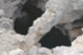 Beeldnr : 108 van 114
Naam : ji7c0634.jpg
Folder : fotos/jaren-201x/2018-2/lanzarote/12-juli/
Formaat : 1200 x 800px
Thumb : 120 x 80px
Richting : Landschap
Bloknr : 3 van 3
Beeldnrs : 101 tm 114
Beelden in blok : 14