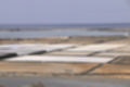 Beeldnr : 113 van 114
Naam : ji7c0641.jpg
Folder : fotos/jaren-201x/2018-2/lanzarote/12-juli/
Formaat : 1200 x 800px
Thumb : 120 x 80px
Richting : Landschap
Bloknr : 3 van 3
Beeldnrs : 101 tm 114
Beelden in blok : 14