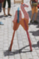Beeldnr : 22 van 26
Naam : ji7f0669.jpg
Folder : fotos/jaren-201x/2018-2/lanzarote/15-juli/
Formaat : 800 x 1200px
Thumb : 80 x 120px
Richting : Portret
Bloknr : 1 van 1
Beeldnrs : 1 tm 26
Beelden in blok : 26