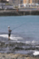 Beeldnr : 60 van 100
Naam : ji7h0949.jpg
Folder : fotos/jaren-201x/2018-2/lanzarote/17-juli/
Formaat : 800 x 1200px
Thumb : 80 x 120px
Richting : Portret
Bloknr : 2 van 2
Beeldnrs : 51 tm 100
Beelden in blok : 50
