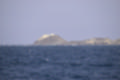 Beeldnr : 95 van 100
Naam : ji7h1038.jpg
Folder : fotos/jaren-201x/2018-2/lanzarote/17-juli/
Formaat : 1200 x 800px
Thumb : 120 x 80px
Richting : Landschap
Bloknr : 2 van 2
Beeldnrs : 51 tm 100
Beelden in blok : 50