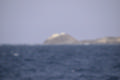 Beeldnr : 96 van 100
Naam : ji7h1039.jpg
Folder : fotos/jaren-201x/2018-2/lanzarote/17-juli/
Formaat : 1200 x 800px
Thumb : 120 x 80px
Richting : Landschap
Bloknr : 2 van 2
Beeldnrs : 51 tm 100
Beelden in blok : 50
