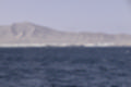Beeldnr : 98 van 100
Naam : ji7h1046.jpg
Folder : fotos/jaren-201x/2018-2/lanzarote/17-juli/
Formaat : 1200 x 800px
Thumb : 120 x 80px
Richting : Landschap
Bloknr : 2 van 2
Beeldnrs : 51 tm 100
Beelden in blok : 50