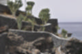 Beeldnr : 35 van 50
Naam : ji780270.jpg
Folder : fotos/jaren-201x/2018-2/lanzarote/8-juli/
Formaat : 1200 x 800px
Thumb : 120 x 80px
Richting : Landschap
Bloknr : 1 van 1
Beeldnrs : 1 tm 50
Beelden in blok : 50