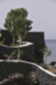 Beeldnr : 36 van 50
Naam : ji780271.jpg
Folder : fotos/jaren-201x/2018-2/lanzarote/8-juli/
Formaat : 800 x 1200px
Thumb : 80 x 120px
Richting : Portret
Bloknr : 1 van 1
Beeldnrs : 1 tm 50
Beelden in blok : 50