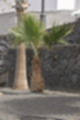 Beeldnr : 38 van 50
Naam : ji780273.jpg
Folder : fotos/jaren-201x/2018-2/lanzarote/8-juli/
Formaat : 800 x 1200px
Thumb : 80 x 120px
Richting : Portret
Bloknr : 1 van 1
Beeldnrs : 1 tm 50
Beelden in blok : 50