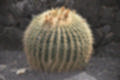 Beeldnr : 39 van 50
Naam : ji780274.jpg
Folder : fotos/jaren-201x/2018-2/lanzarote/8-juli/
Formaat : 1200 x 800px
Thumb : 120 x 80px
Richting : Landschap
Bloknr : 1 van 1
Beeldnrs : 1 tm 50
Beelden in blok : 50