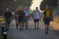 Beeldnr : 4 van 250
Naam : ai7k1288.jpg
Folder : fotos/jaren-201x/2018-2/vierdaagse-slotdag/20-juli/
Formaat : 1200 x 800px
Thumb : 120 x 80px
Richting : Landschap
Bloknr : 1 van 5
Beeldnrs : 1 tm 50
Beelden in blok : 50
