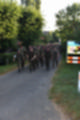 Beeldnr : 38 van 250
Naam : ai7k1330.jpg
Folder : fotos/jaren-201x/2018-2/vierdaagse-slotdag/20-juli/
Formaat : 800 x 1200px
Thumb : 80 x 120px
Richting : Portret
Bloknr : 1 van 5
Beeldnrs : 1 tm 50
Beelden in blok : 50