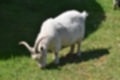 Beeldnr : 15 van 82
Naam : jj693213.jpg
Folder : fotos/jaren-201x/2019-2/afrika-museum/9-juni/
Formaat : 1200 x 800px
Thumb : 120 x 80px
Richting : Landschap
Bloknr : 1 van 2
Beeldnrs : 1 tm 50
Beelden in blok : 50