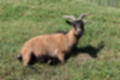 Beeldnr : 16 van 82
Naam : jj693214.jpg
Folder : fotos/jaren-201x/2019-2/afrika-museum/9-juni/
Formaat : 1200 x 800px
Thumb : 120 x 80px
Richting : Landschap
Bloknr : 1 van 2
Beeldnrs : 1 tm 50
Beelden in blok : 50