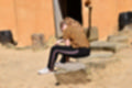 Beeldnr : 39 van 82
Naam : jj693247.jpg
Folder : fotos/jaren-201x/2019-2/afrika-museum/9-juni/
Formaat : 1200 x 800px
Thumb : 120 x 80px
Richting : Landschap
Bloknr : 1 van 2
Beeldnrs : 1 tm 50
Beelden in blok : 50