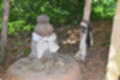 Beeldnr : 50 van 82
Naam : jj693262.jpg
Folder : fotos/jaren-201x/2019-2/afrika-museum/9-juni/
Formaat : 1200 x 800px
Thumb : 120 x 80px
Richting : Landschap
Bloknr : 1 van 2
Beeldnrs : 1 tm 50
Beelden in blok : 50