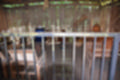 Beeldnr : 52 van 82
Naam : jj693264.jpg
Folder : fotos/jaren-201x/2019-2/afrika-museum/9-juni/
Formaat : 1200 x 800px
Thumb : 120 x 80px
Richting : Landschap
Bloknr : 2 van 2
Beeldnrs : 51 tm 82
Beelden in blok : 32