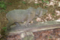 Beeldnr : 56 van 82
Naam : jj693268.jpg
Folder : fotos/jaren-201x/2019-2/afrika-museum/9-juni/
Formaat : 1200 x 800px
Thumb : 120 x 80px
Richting : Landschap
Bloknr : 2 van 2
Beeldnrs : 51 tm 82
Beelden in blok : 32