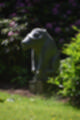 Beeldnr : 65 van 82
Naam : jj693285.jpg
Folder : fotos/jaren-201x/2019-2/afrika-museum/9-juni/
Formaat : 800 x 1200px
Thumb : 80 x 120px
Richting : Portret
Bloknr : 2 van 2
Beeldnrs : 51 tm 82
Beelden in blok : 32