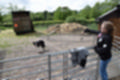 Beeldnr : 2 van 39
Naam : jj5p2697.jpg
Folder : fotos/jaren-201x/2019-2/borger/25-mei/
Formaat : 1200 x 800px
Thumb : 120 x 80px
Richting : Landschap
Bloknr : 1 van 1
Beeldnrs : 1 tm 39
Beelden in blok : 39