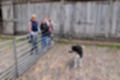 Beeldnr : 6 van 39
Naam : jj5p2702.jpg
Folder : fotos/jaren-201x/2019-2/borger/25-mei/
Formaat : 1200 x 800px
Thumb : 120 x 80px
Richting : Landschap
Bloknr : 1 van 1
Beeldnrs : 1 tm 39
Beelden in blok : 39