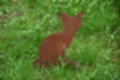 Beeldnr : 21 van 39
Naam : jj5p2721.jpg
Folder : fotos/jaren-201x/2019-2/borger/25-mei/
Formaat : 1200 x 800px
Thumb : 120 x 80px
Richting : Landschap
Bloknr : 1 van 1
Beeldnrs : 1 tm 39
Beelden in blok : 39