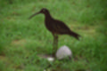 Beeldnr : 24 van 39
Naam : jj5p2724.jpg
Folder : fotos/jaren-201x/2019-2/borger/25-mei/
Formaat : 1200 x 800px
Thumb : 120 x 80px
Richting : Landschap
Bloknr : 1 van 1
Beeldnrs : 1 tm 39
Beelden in blok : 39