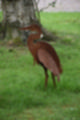 Beeldnr : 26 van 39
Naam : jj5p2726.jpg
Folder : fotos/jaren-201x/2019-2/borger/25-mei/
Formaat : 800 x 1200px
Thumb : 80 x 120px
Richting : Portret
Bloknr : 1 van 1
Beeldnrs : 1 tm 39
Beelden in blok : 39