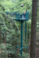 Beeldnr : 6 van 57
Naam : jj5q2752.jpg
Folder : fotos/jaren-201x/2019-2/borger/26-mei/
Formaat : 800 x 1200px
Thumb : 80 x 120px
Richting : Portret
Bloknr : 1 van 2
Beeldnrs : 1 tm 50
Beelden in blok : 50