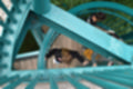 Beeldnr : 21 van 57
Naam : jj5q2767.jpg
Folder : fotos/jaren-201x/2019-2/borger/26-mei/
Formaat : 1200 x 800px
Thumb : 120 x 80px
Richting : Landschap
Bloknr : 1 van 2
Beeldnrs : 1 tm 50
Beelden in blok : 50