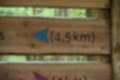 Beeldnr : 29 van 57
Naam : jj5q2776.jpg
Folder : fotos/jaren-201x/2019-2/borger/26-mei/
Formaat : 1200 x 800px
Thumb : 120 x 80px
Richting : Landschap
Bloknr : 1 van 2
Beeldnrs : 1 tm 50
Beelden in blok : 50